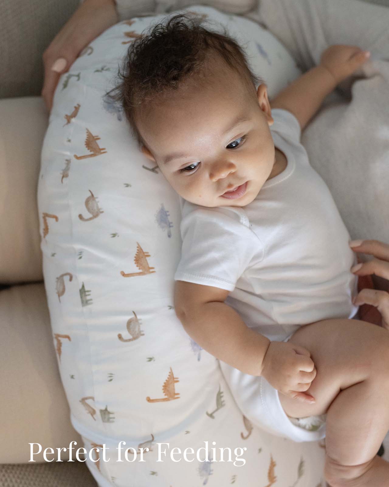 BABYGO® Dinosaur Nursing Pillow No Box - Image 3